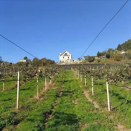 Quinta Do Bairro Дом отдыха Виейра-ду-Минью