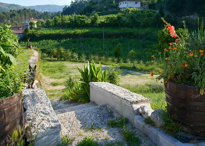 Quinta Do Bairro Holiday home Vieira do Minho
